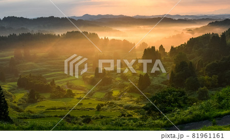 星峠の霧 星峠の霧 81961161