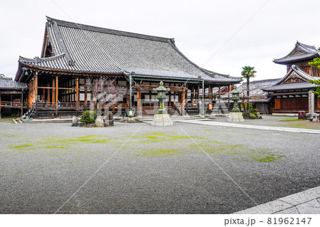 長浜市 大通寺「長浜御坊」本堂 長浜市 大通寺「長浜御坊」本堂 81962147