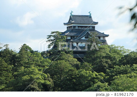 松江城～山陰に現存する唯一の天守を遠望する 81962170