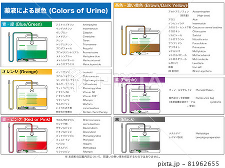 【医療】薬剤の影響による尿の色 (横) 81962655