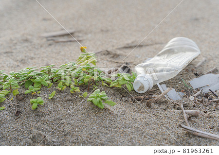 砂浜のゴミ　環境問題 81963261