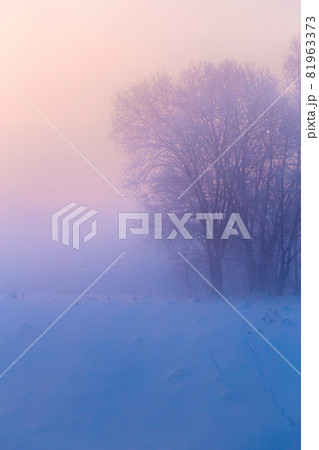 dreamy winter fog background 81963373