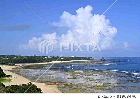 公園から見える海岸風景　笠利土浜 81963446