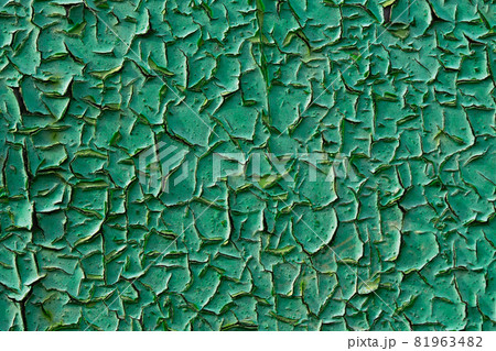 old green peeling paint closeup flat background old green peeling paint closeup flat background 81963482