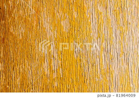 old peeling flat overdryed lacquered plywood texture 81964009