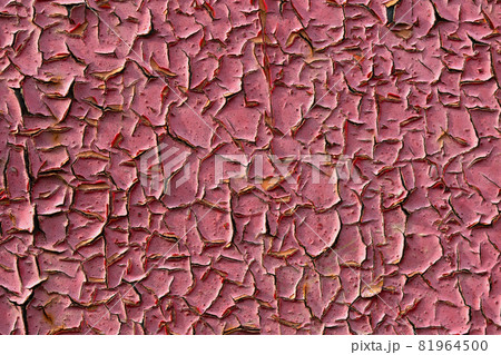 old pink peeling paint closeup flat background 81964500