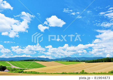 北海道　秋の青空と美瑛の風景 81964873