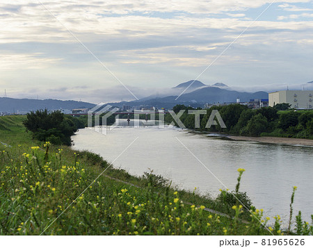 早朝の大和川と二上山の風景 早朝の大和川と二上山の風景 81965626