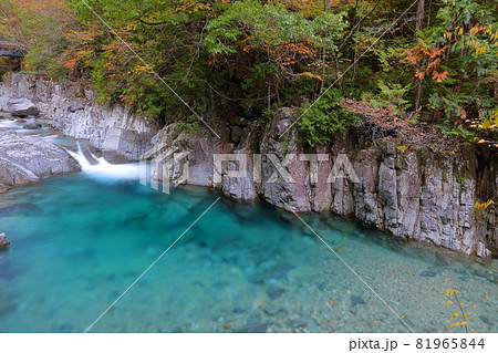 長野県木曽郡大桑村野尻 紅葉時期の阿寺渓谷牛ヶ淵の阿寺ブルー 長野県木曽郡大桑村野尻 紅葉時期の阿寺渓谷牛ヶ淵の阿寺ブルー 81965844