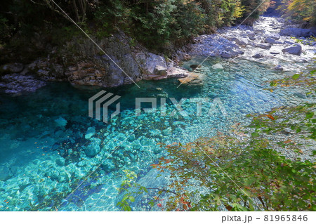 長野県木曽郡大桑村野尻 紅葉時期の阿寺渓谷熊ヶ淵の阿寺ブルー 長野県木曽郡大桑村野尻 紅葉時期の阿寺渓谷熊ヶ淵の阿寺ブルー 81965846