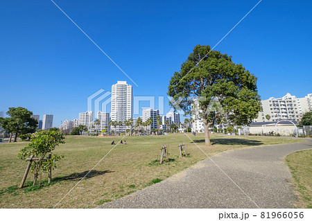 リゾート感漂う公園とマンション街　千葉県浦安市 81966056