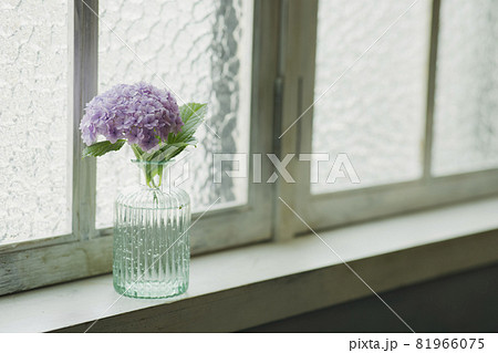 紫陽花の花瓶 81966075