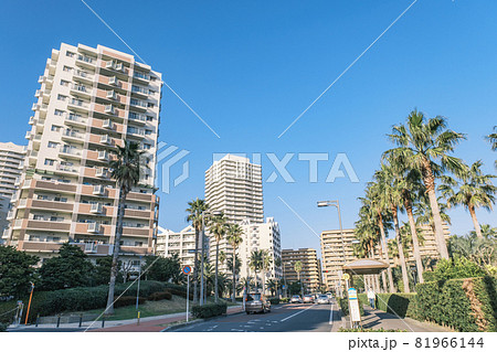リゾート感漂う街並みとマンション街　海園の街　千葉県浦安市 81966144