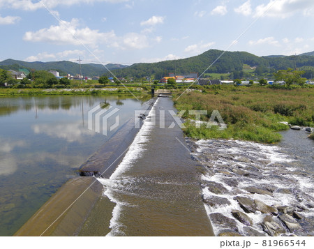 風景 ガーデン 庭園 81966544