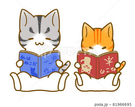 読書する猫 81966695