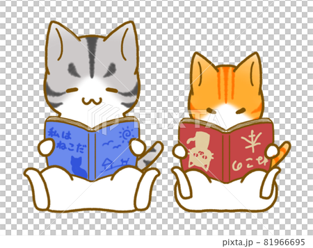 読書する猫 81966695