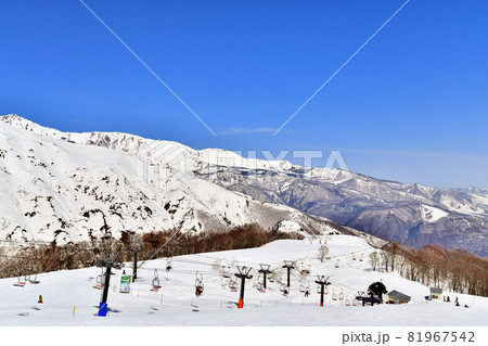 白馬五竜スキー場／アルプス平ゲレンデより八方尾根、栂池高原方面を望む(長野県白馬村)【2021.3】 81967542