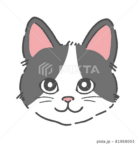 ハチワレ猫の顔のイラスト素材