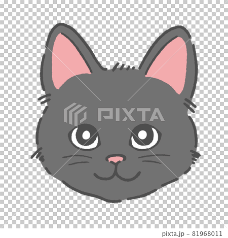 Black cat face Black cat face 81968011