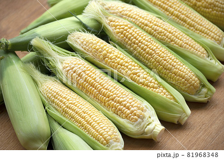 新鮮なトウモロコシ 81968348