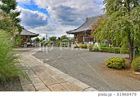見沼田圃散歩:正法院 真言宗智山派 本堂 見沼田圃散歩:正法院 真言宗智山派 本堂 81968479