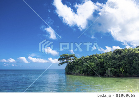 西表島の海と緑 81969668