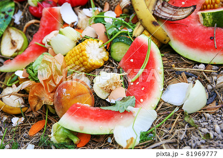 Domestic waste for compost from fruits and vegetables in garden. Domestic waste for compost from fruits and vegetables in garden. 81969777