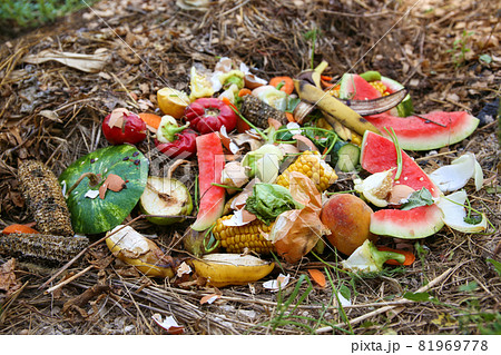 Domestic waste for compost from fruits and vegetables in garden. Domestic waste for compost from fruits and vegetables in garden. 81969778