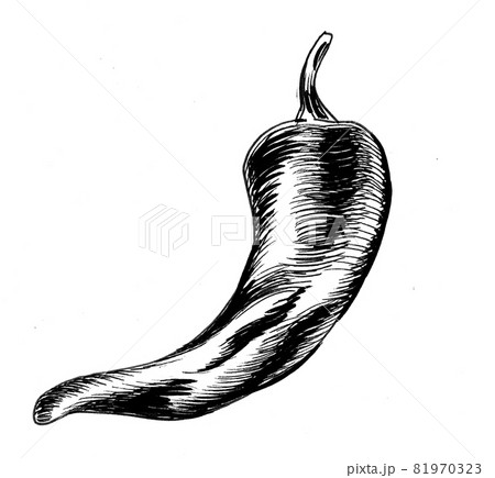 red hot chili pepper. Ink black and white drawing 81970323