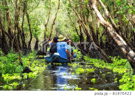 traveler sightseeing over the traditional boat in tra su forest, Mekong Delta travel, vietnam 81970422
