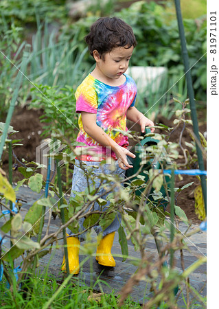畑仕事を手伝う子ども 81971101