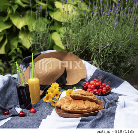 Summer picnic in lavender field. 81971138