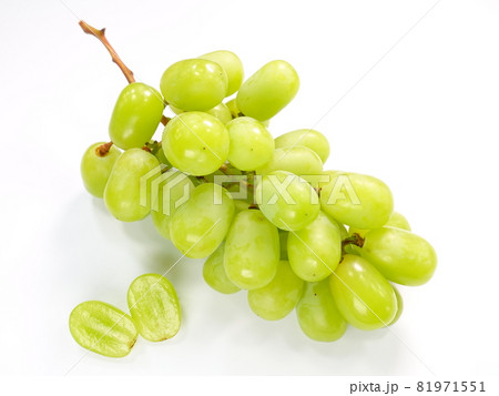 シャインマスカット　ぶどう　ブドウ　葡萄 81971551