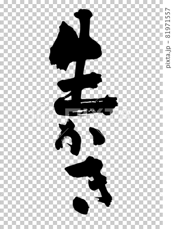 生かき 生かき 81971557