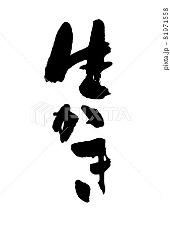 生かき 生かき 81971558