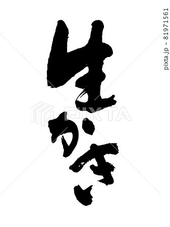生かき 81971561