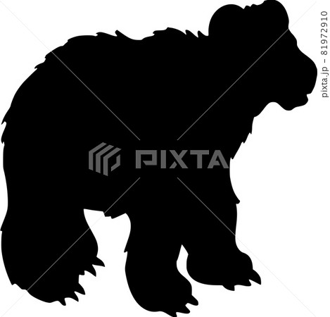 Vector silhouette of Bear on white background 81972910