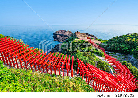 山口県長門市　快晴の元乃隅神社 81973605