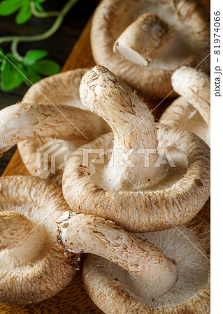 椎茸 81974066