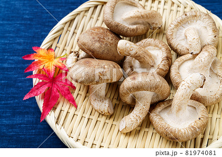 椎茸 81974081