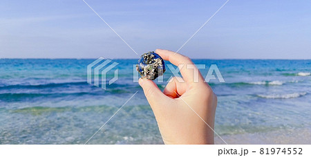 【海洋漂着ごみ】美しい海岸に流れ着いたペットボトルのふた 【海洋漂着ごみ】美しい海岸に流れ着いたペットボトルのふた 81974552