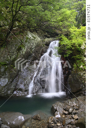 鷲の川の滝(和歌山県日高郡日高川町) 鷲の川の滝(和歌山県日高郡日高川町) 81974731