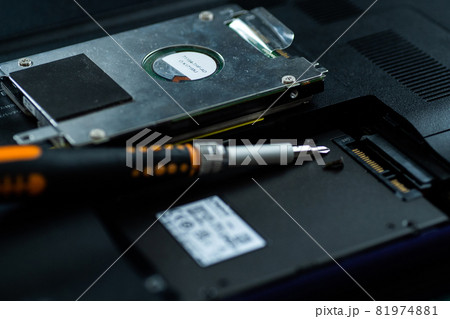 ストレス軽減 81974881