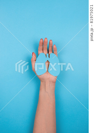 Women's hands hold a paper lungs symbol 81975021