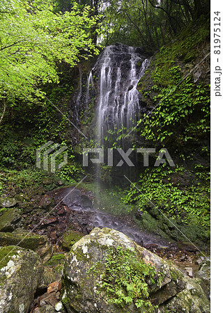 涼みの滝（和歌山県日高郡日高川町） 81975124