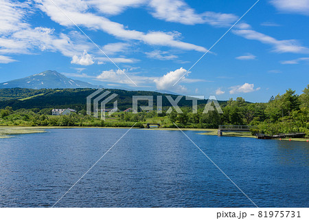 池から望む鳥海山 池から望む鳥海山 81975731