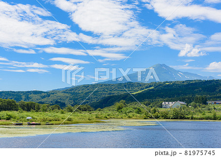 池から望む鳥海山 81975745