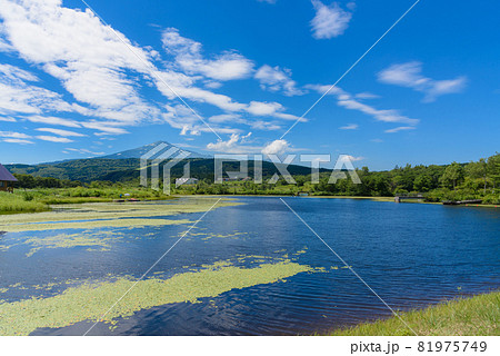 池から望む鳥海山 81975749