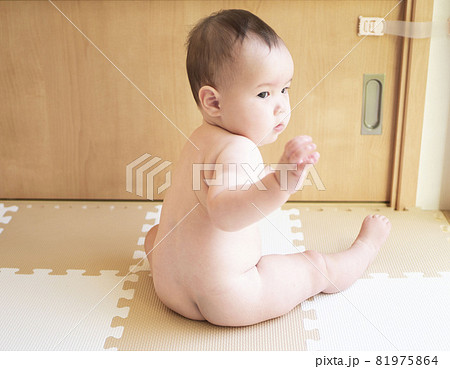 裸で座る赤ちゃんの後ろ姿 裸で座る赤ちゃんの後ろ姿 81975864