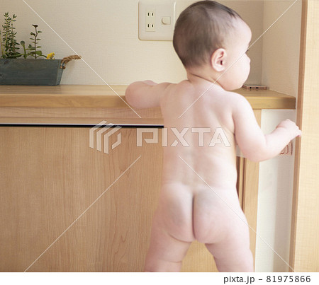 裸でつかまり立ちをする赤ちゃんの後ろ姿 81975866
